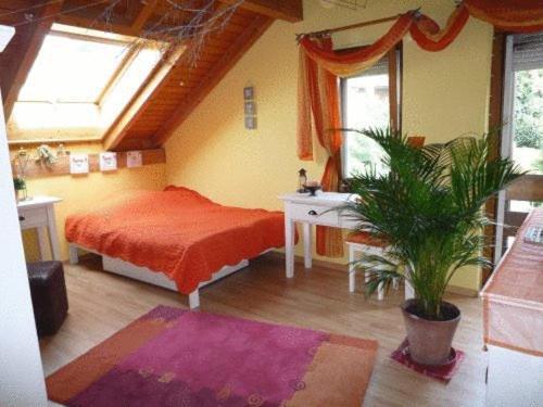 Bed & Breakfast Wepfer Grut Room photo